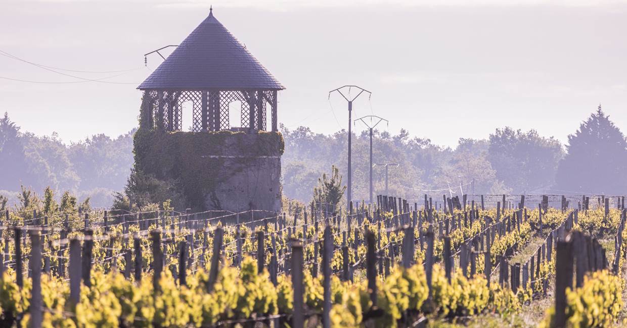 Chateau Senejac 2024.05 Exterieurs-80