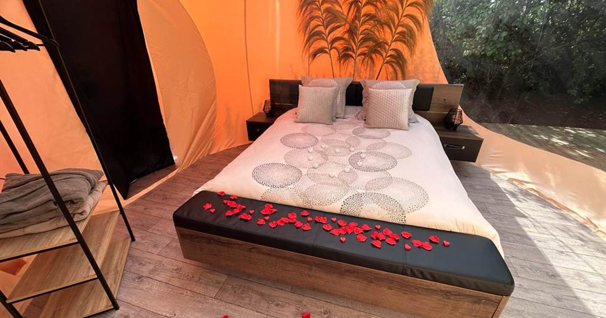 3d87a970-b053-489c-bdef-3c7d982da311