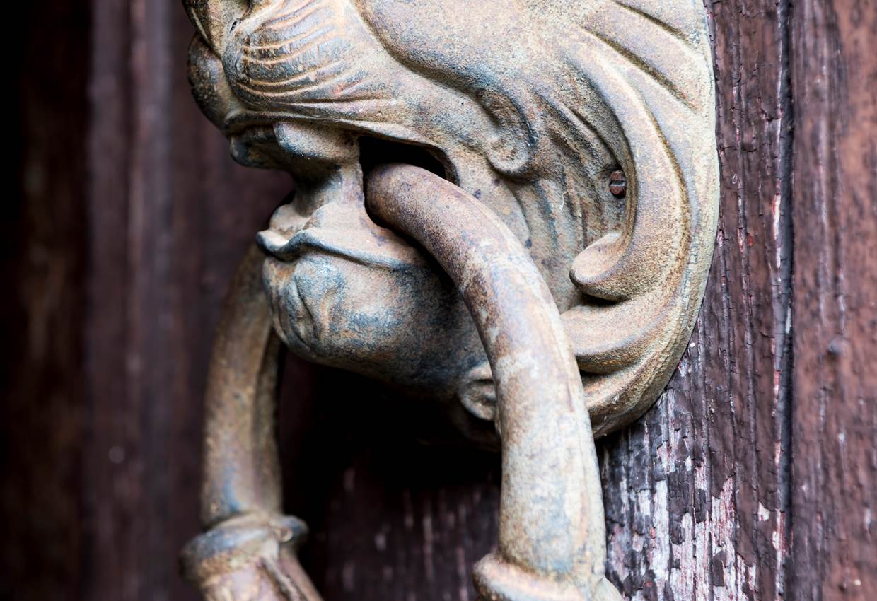 Maison Manechal tous les animaux sont bienvenus