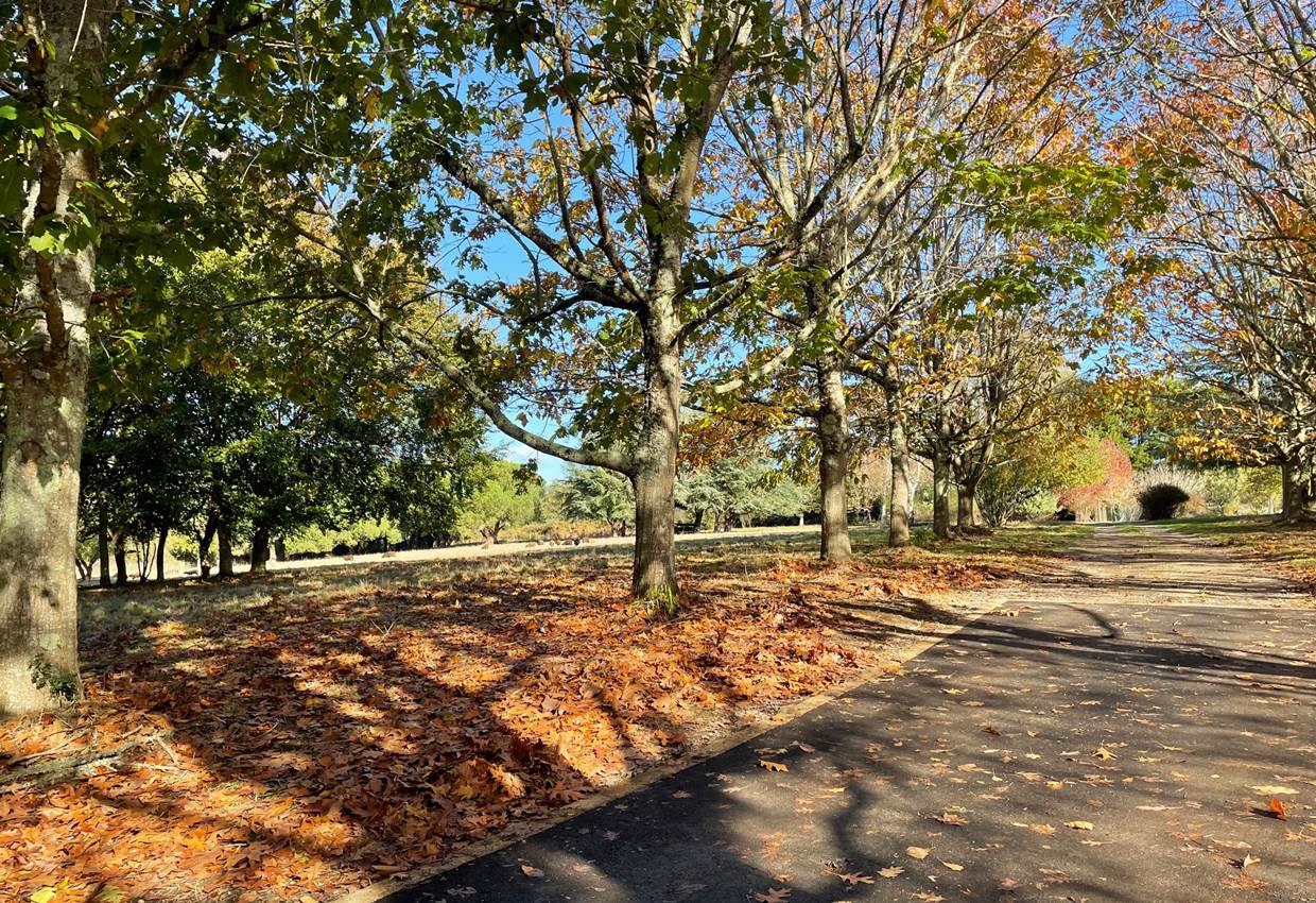 gite_bretagnesud_golfedumorbihan_grand-parc_couleurs-automne