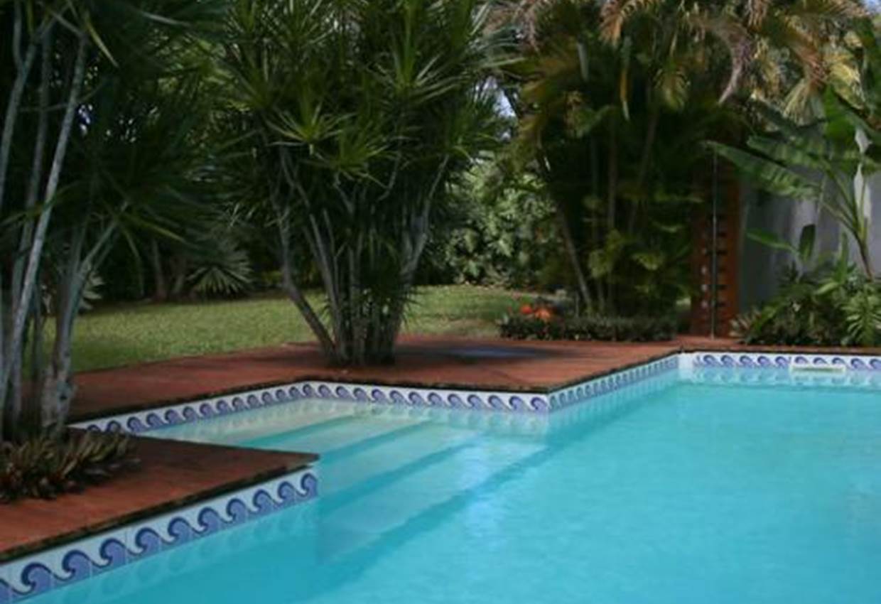 Soleil-palmiers-piscine-des-gites-l-or-des-caraibes