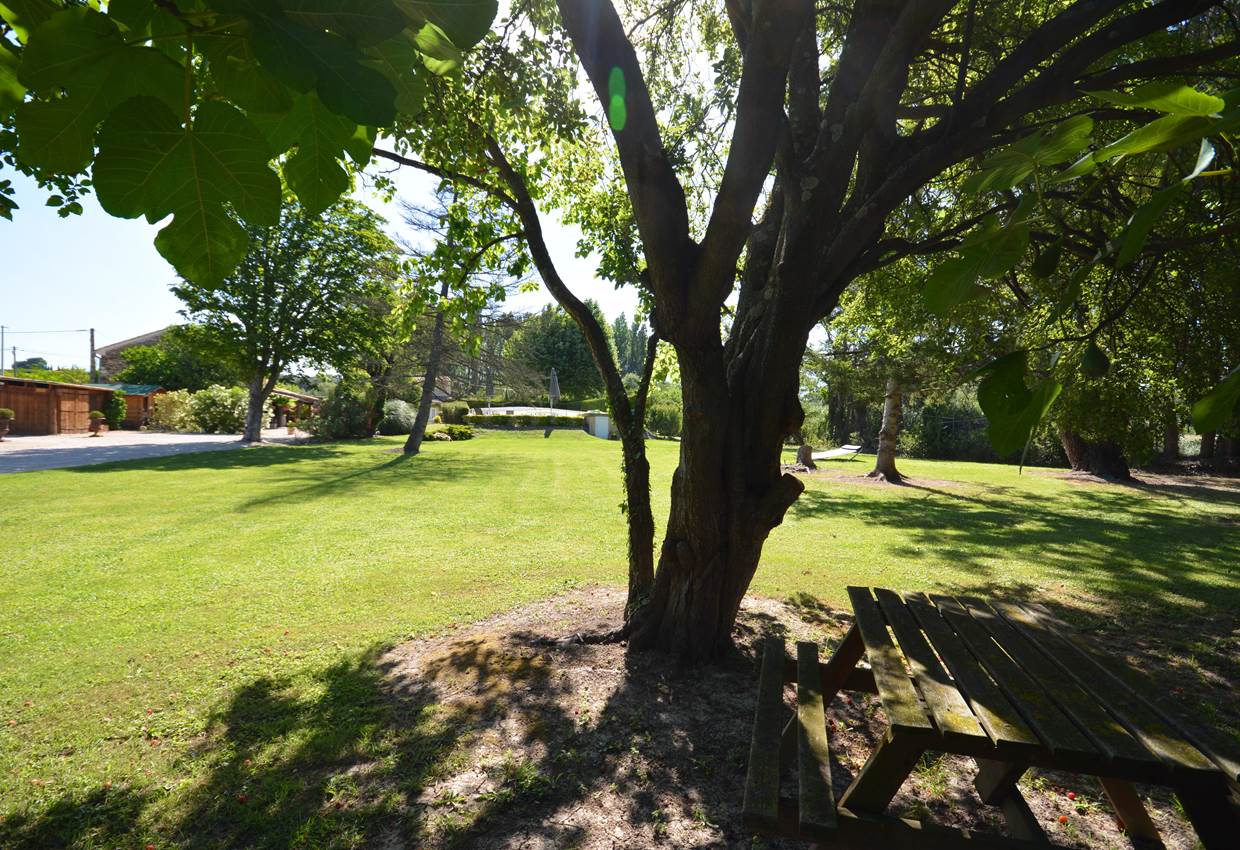 le parc ombragé du Mas Julien