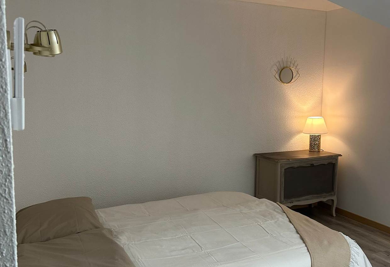 double velux
