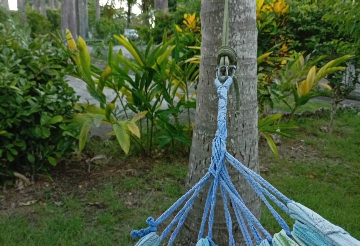 Gite-Cocotier-calme-serenite-l-or-des-caraibes-sainte-anne-guadeloupe