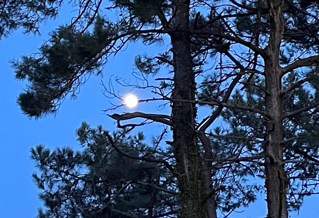Pleine lune sentier cotier