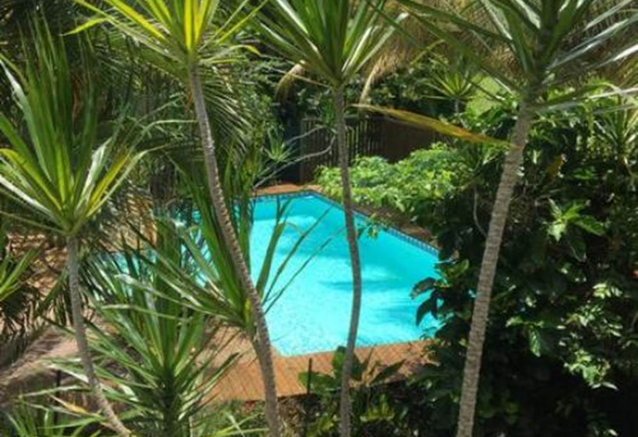 Gite-Cocotier-piscine-tropicale-des-gites