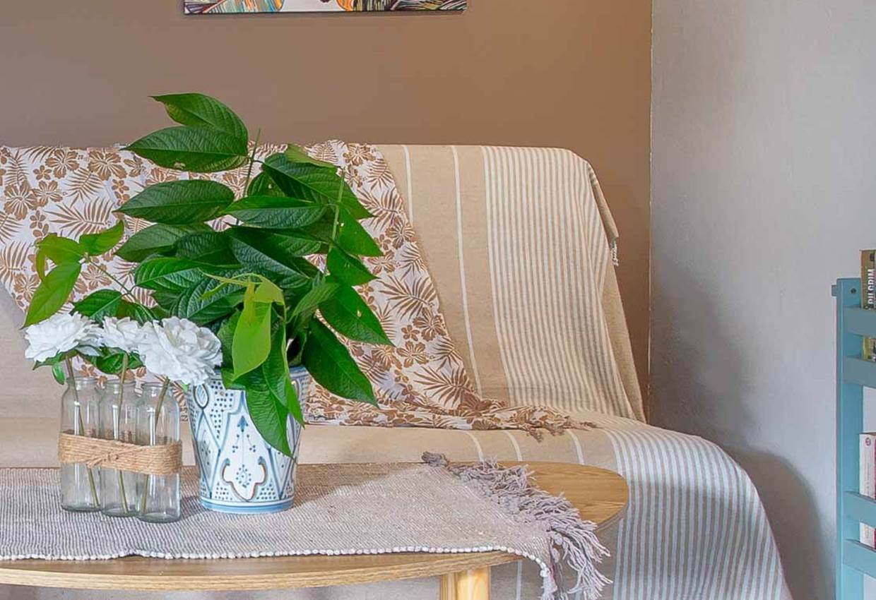 Gite-Cocotier-salon-repos-detente