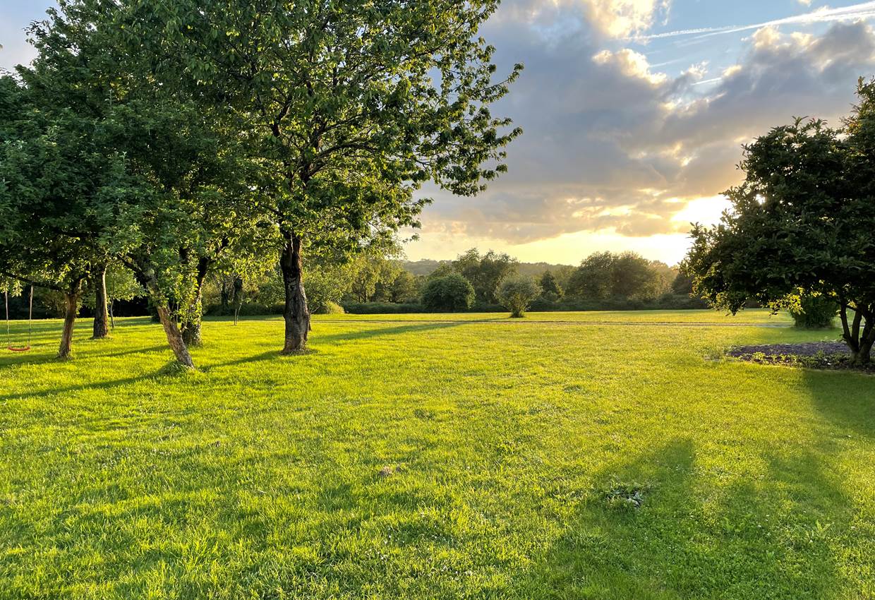 Grand parc arboré lumière du soir