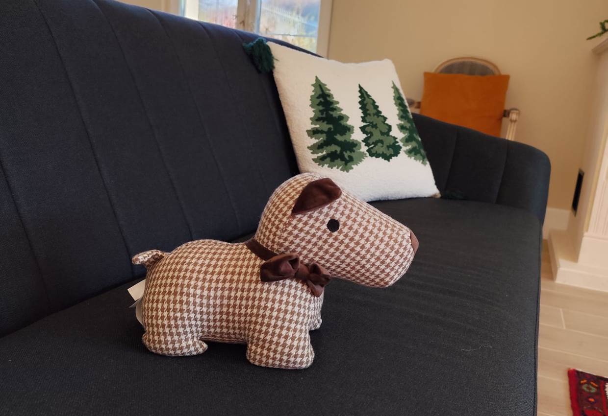 Anakin, notre mascotte, veille