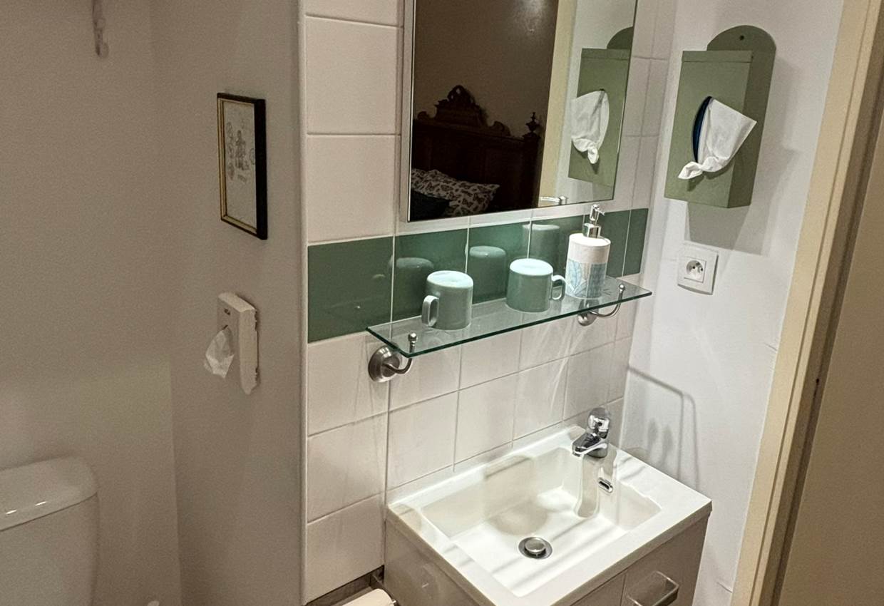 chambre 1 La Française salle d'eau
