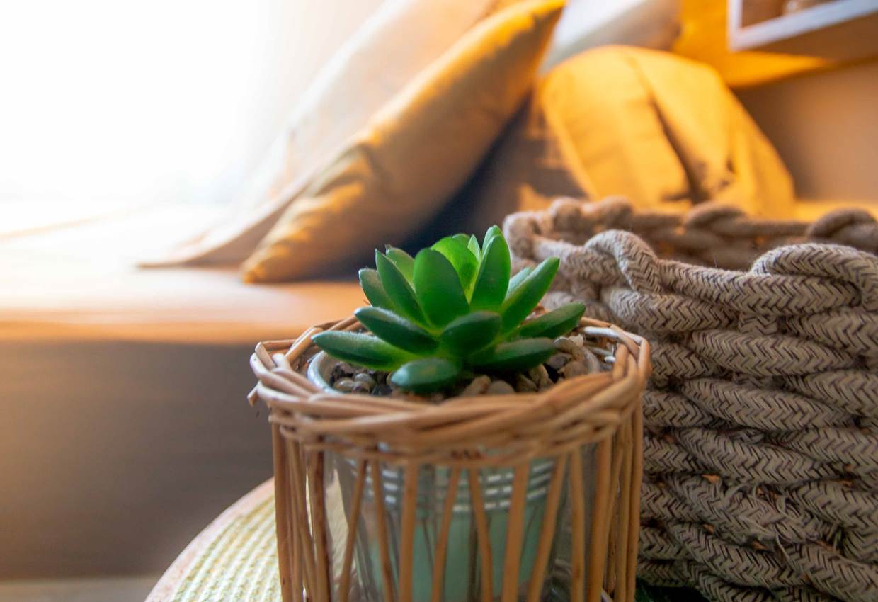 Gite-Cocotier-chambre-detente