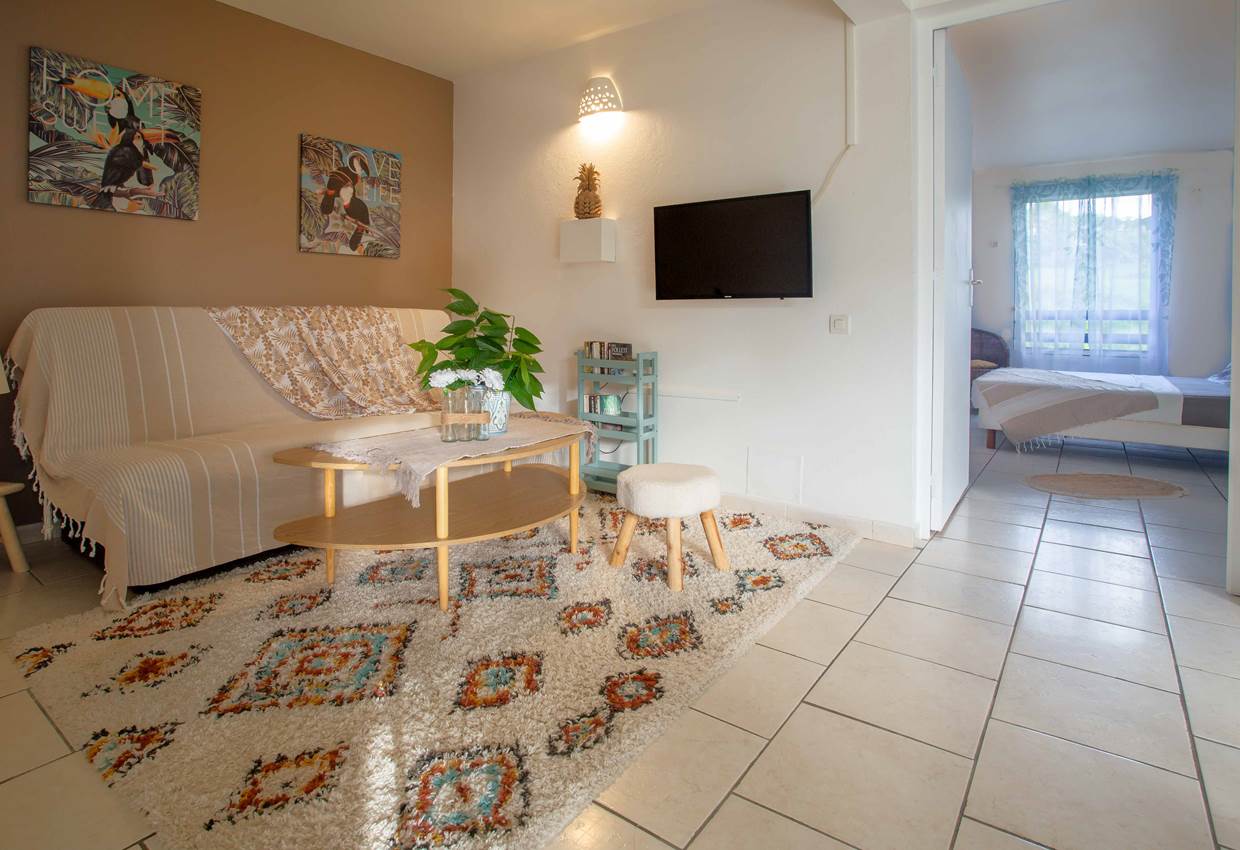 Gite-Cocotier-salon-repos-detente