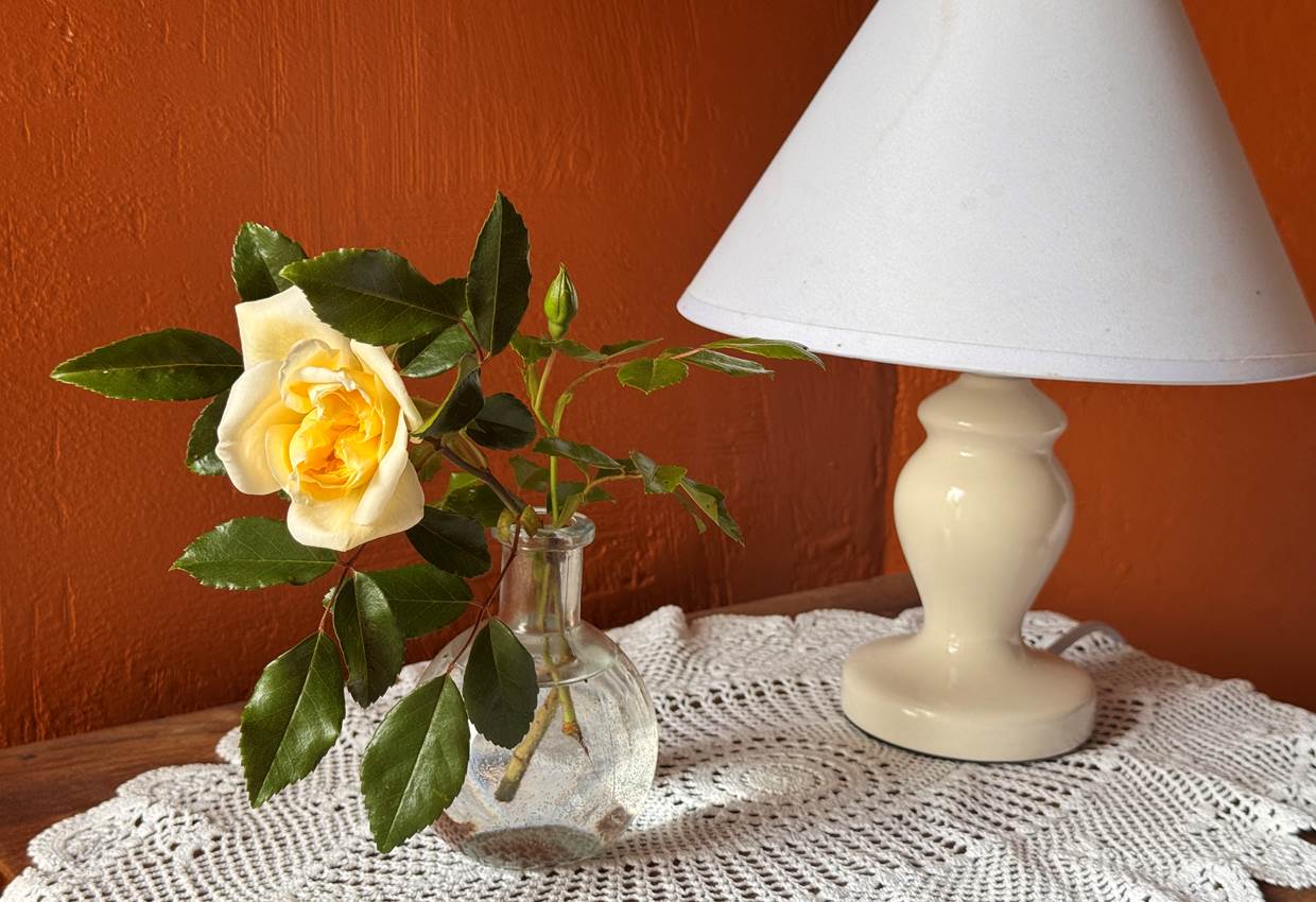 01_deco_Chambredhotes_Maison Luard_Bedous