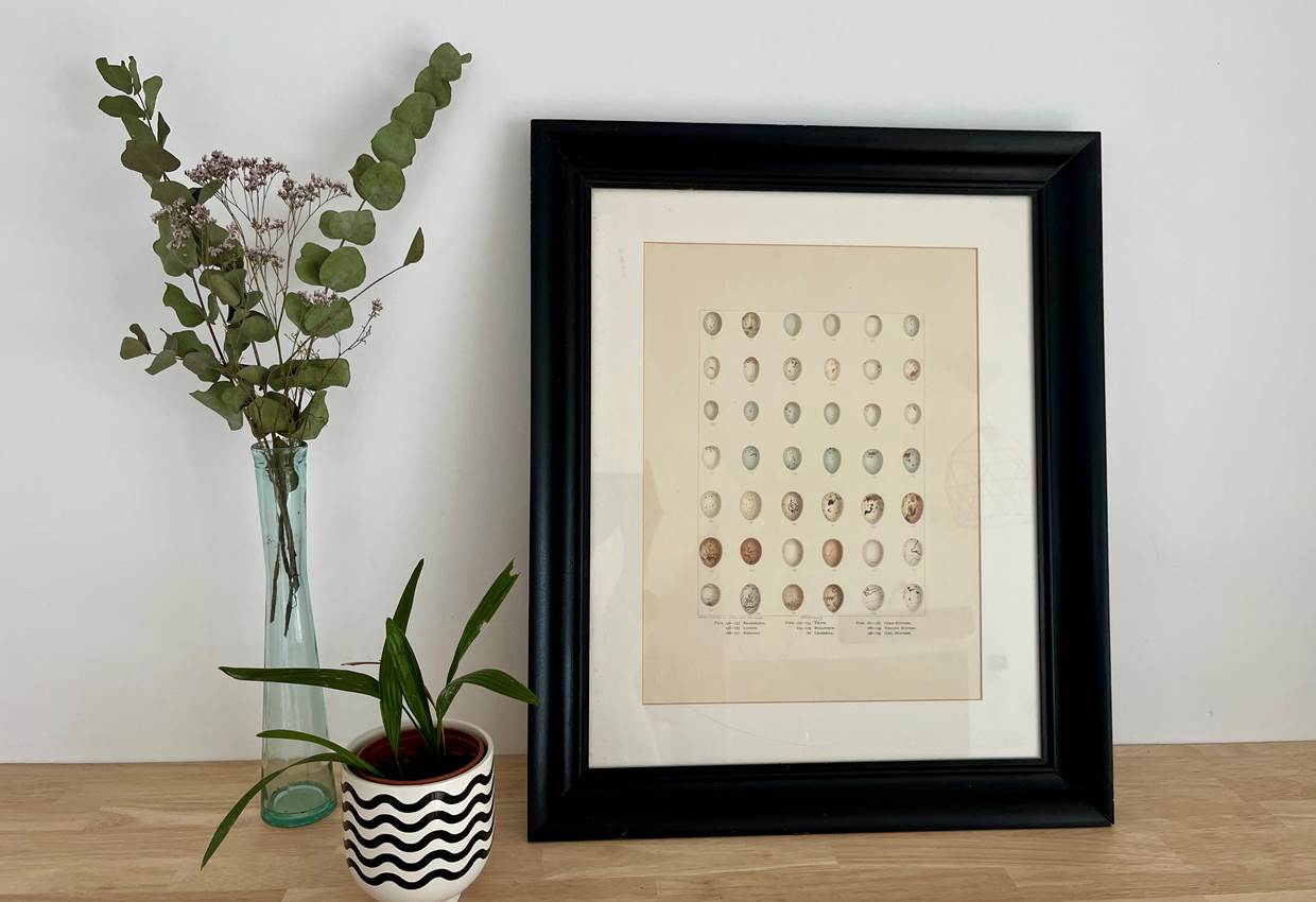 07.deco2.Gite.Bedous.Mandragot