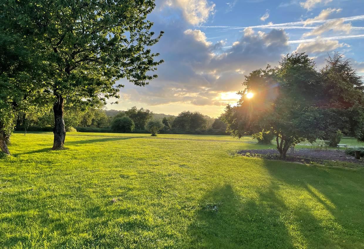Grand parc arboré coucher de soleil