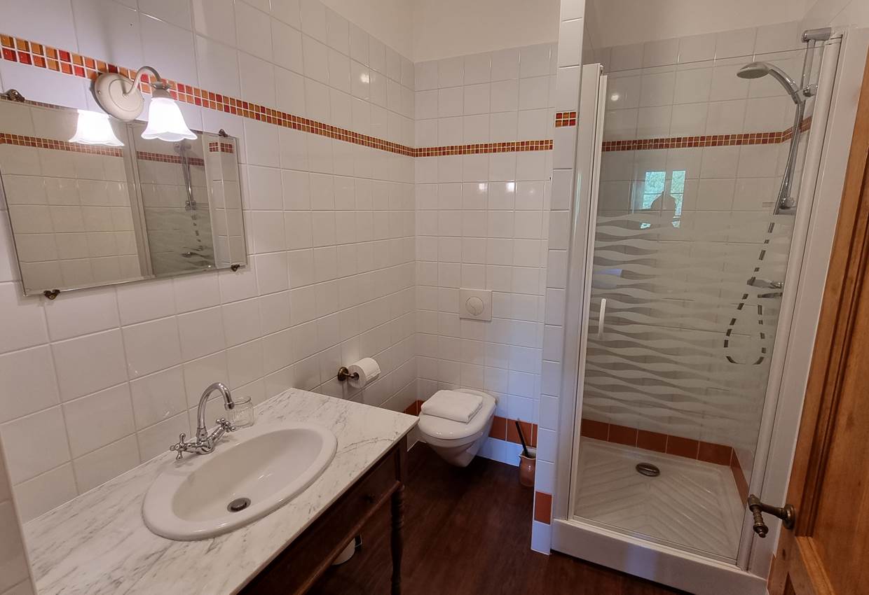 Salle d'eau - Chambre 5