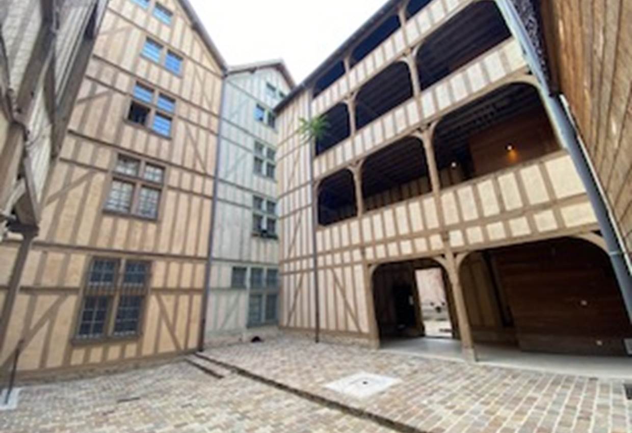 IMG_4921-1773328470672