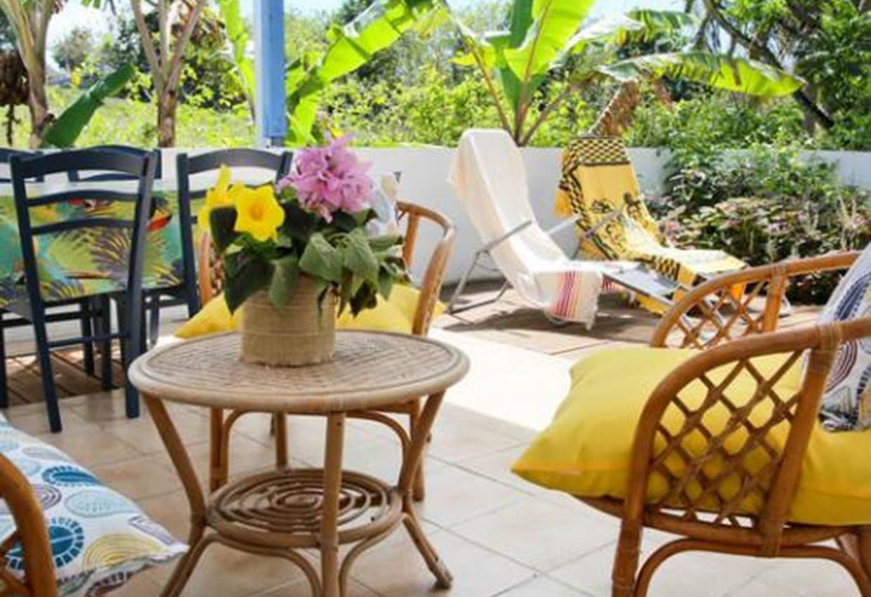 Gite-Cocotier-terrasse-jardin