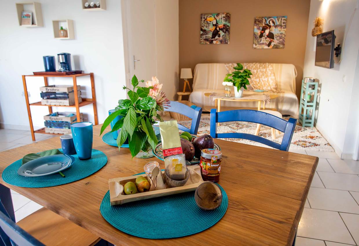 Gite-Cocotier-calme-serenite-l-or-des-caraibes-sainte-anne-guadeloupe