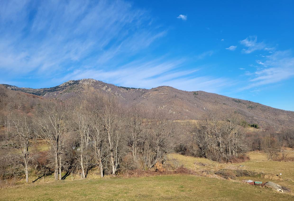 20250118_113447 - Copie