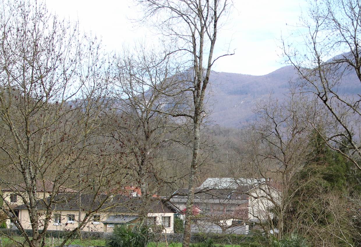 Vue sur les alentours.