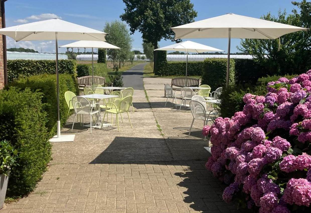 Aperitief terras 
