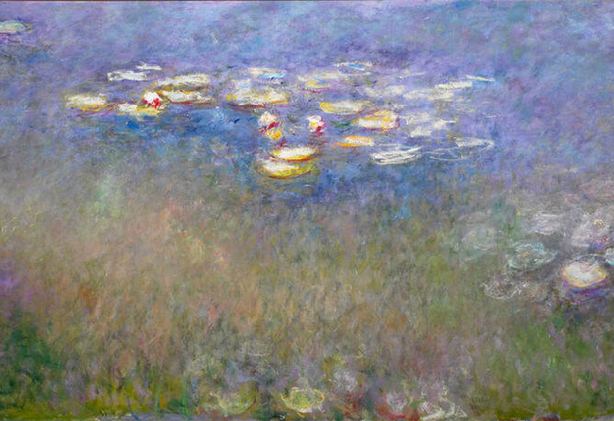 water-lilies-agapanthus