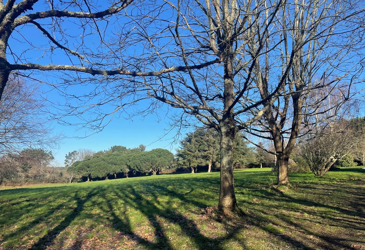 Immense parc arboré