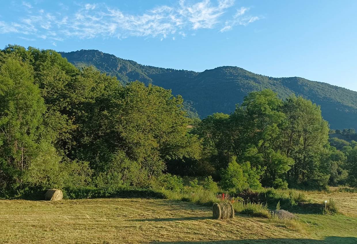 450576476_511478684741696_644391627407920402_n - Copie