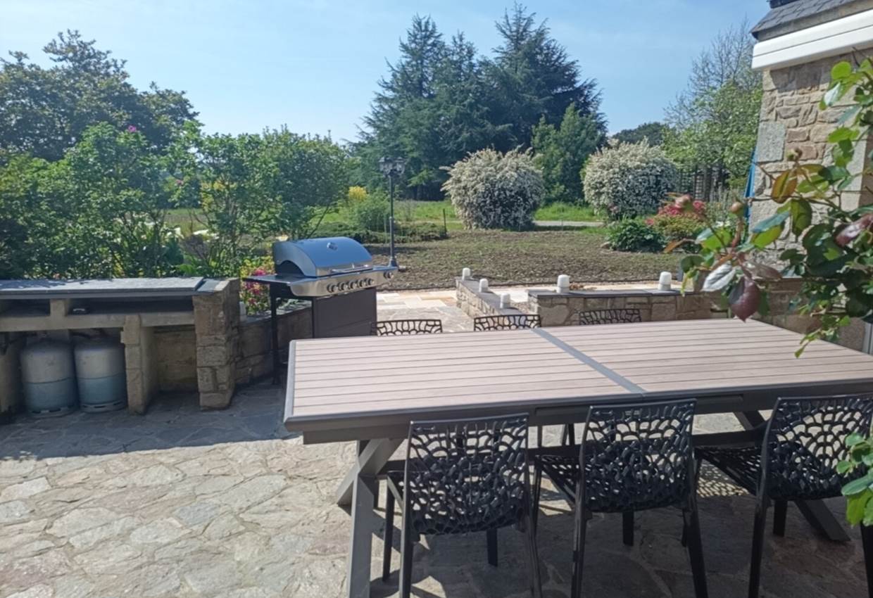 Terrasse et barbecue neuf
