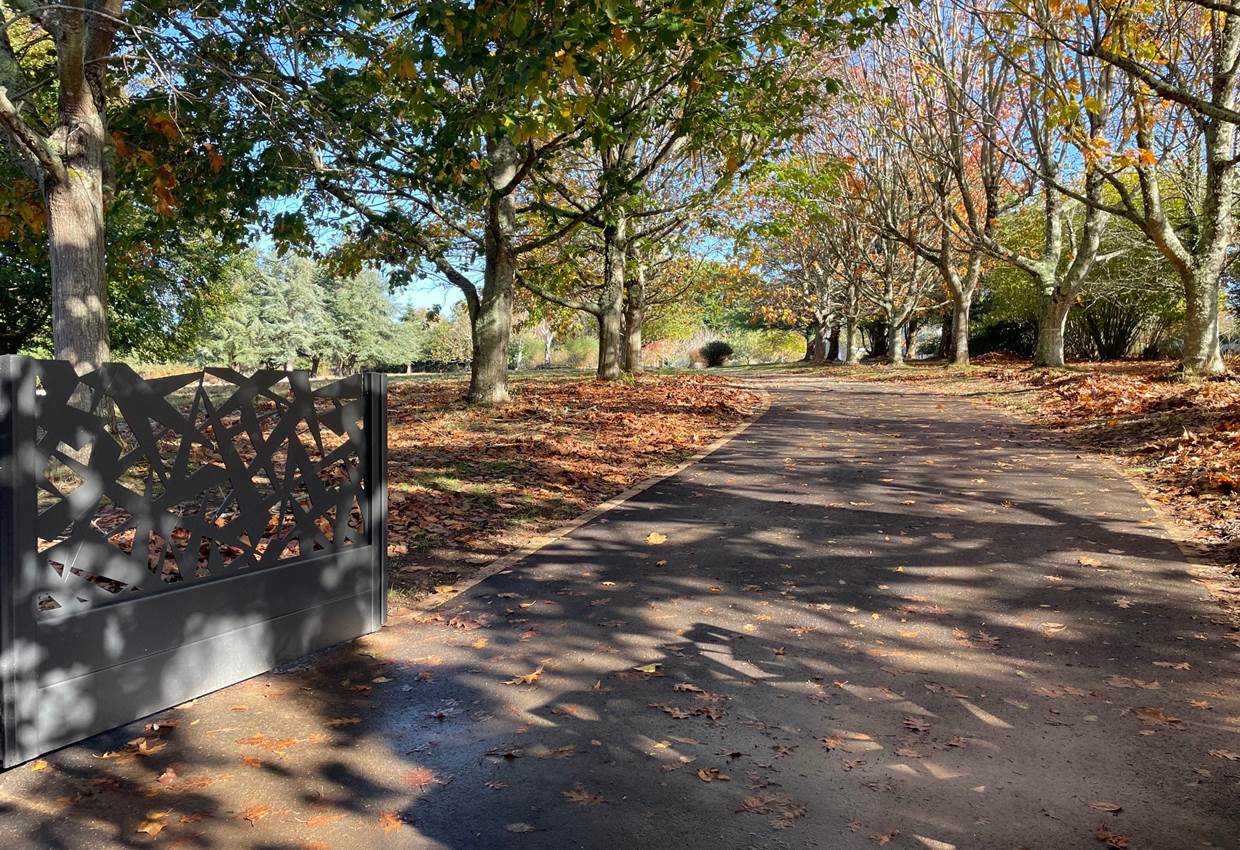 grand-gite_parc_feuilles-automne