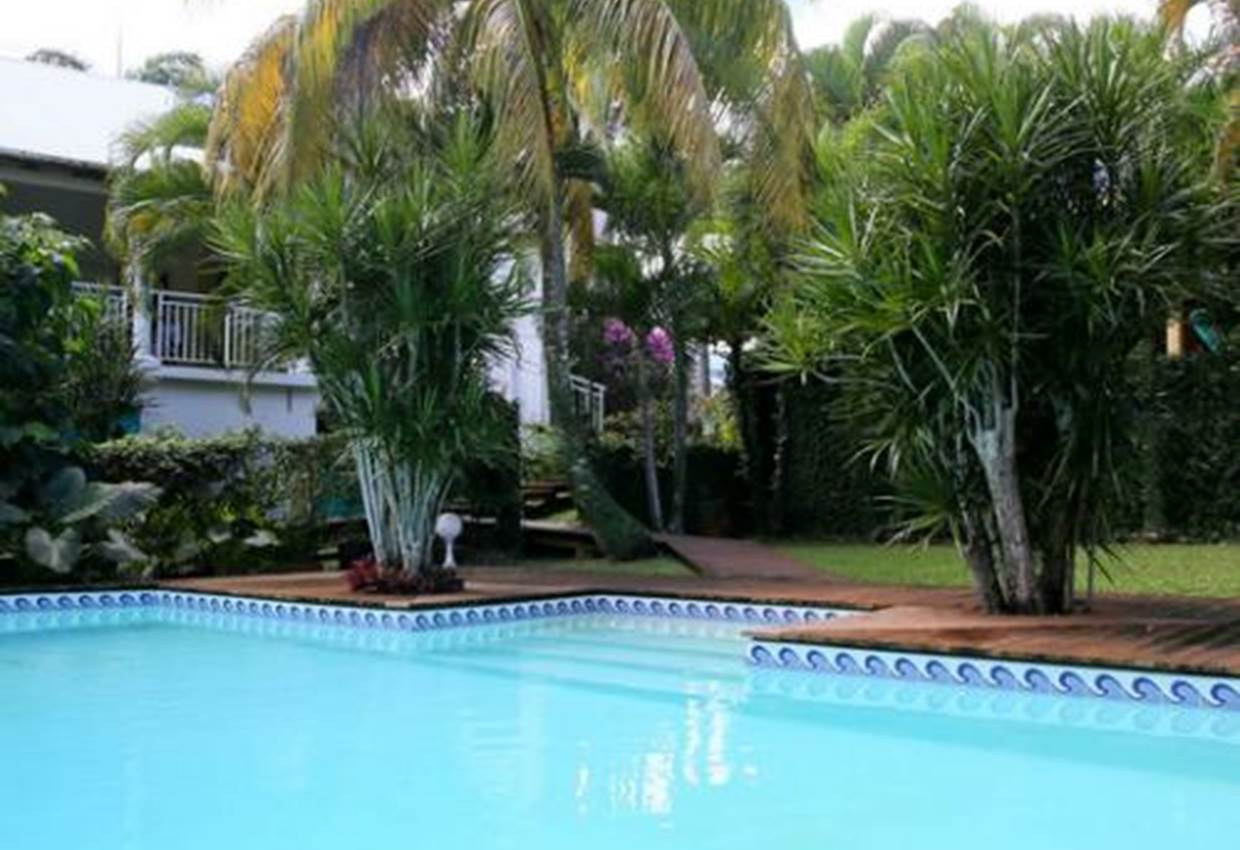 Soleil-palmiers-piscine-des-gites-l-or-des-caraibes