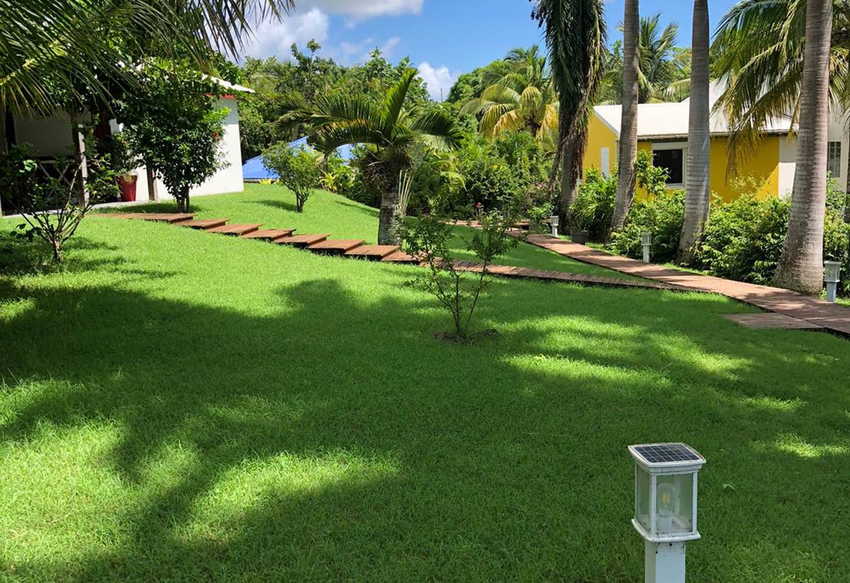 WhatsApp Image 2025 JARDIN 6