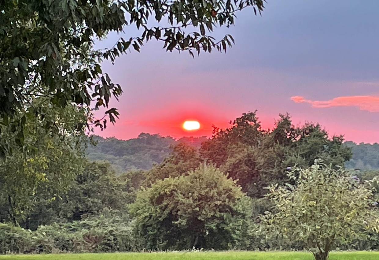 Coucher de soleil sur le parc 18 sept 2024