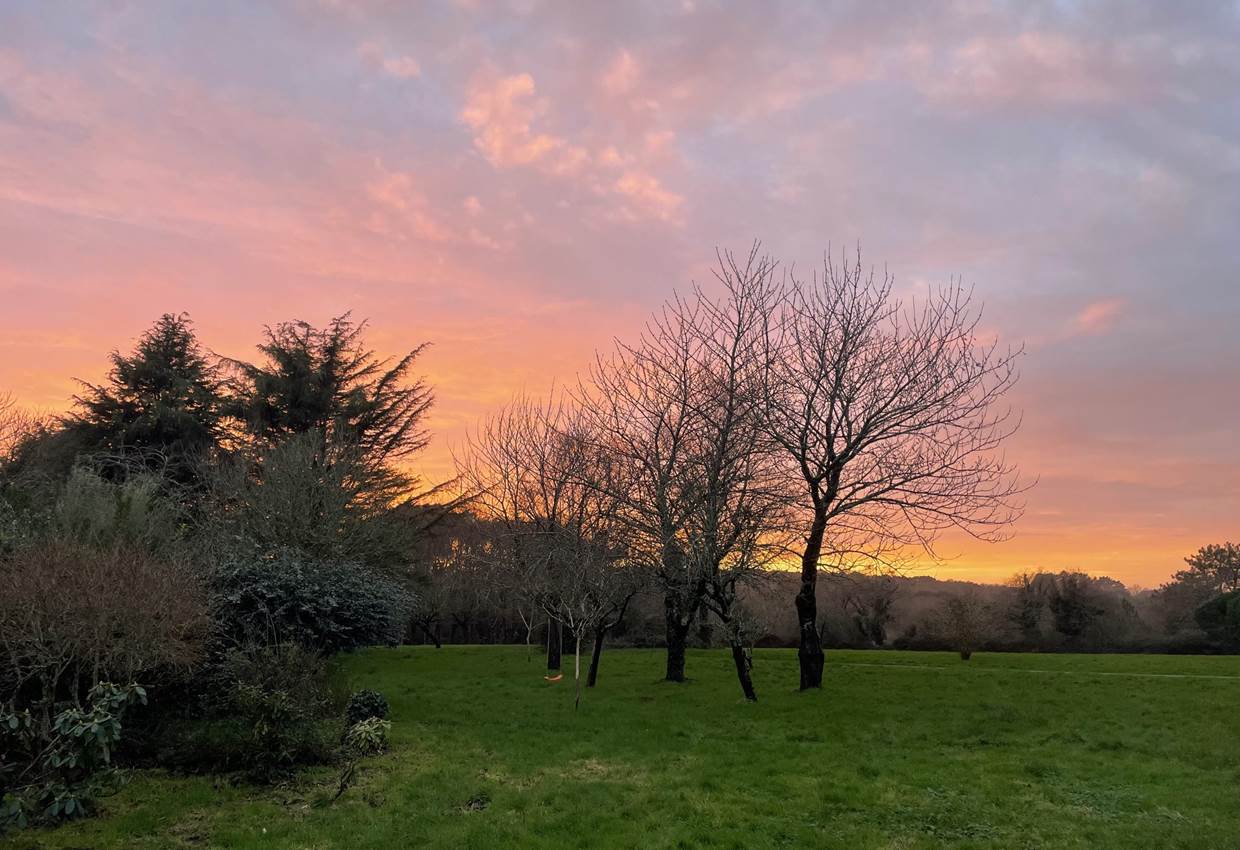 Coucher de soleil en hiver