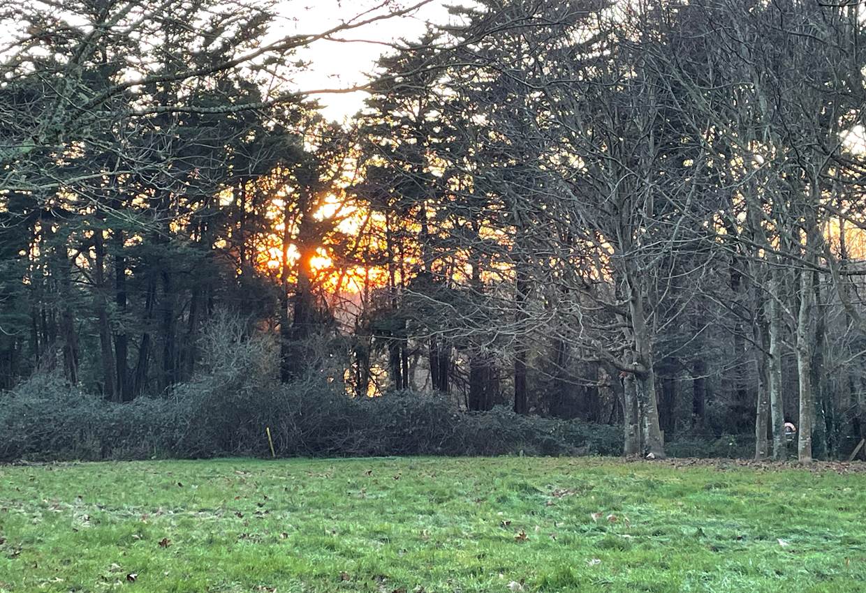 Coucher de soleil sur Etang de Toulvern vu depuis le parc