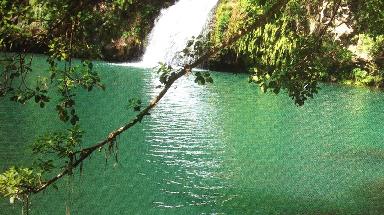 bassin cormoran
