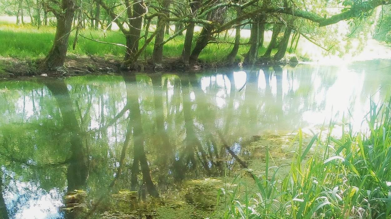 La vallée de la Seugne prolonge la magie du domaine.