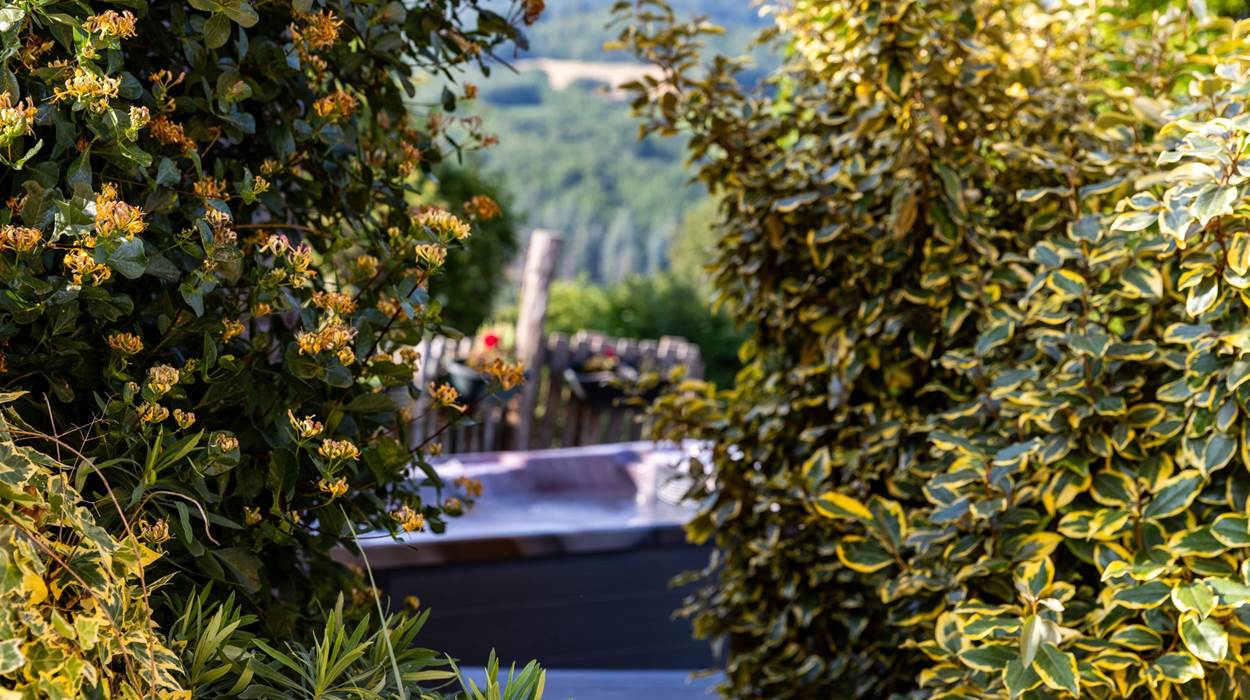 Vue Spa nature - La Villa des Raspes