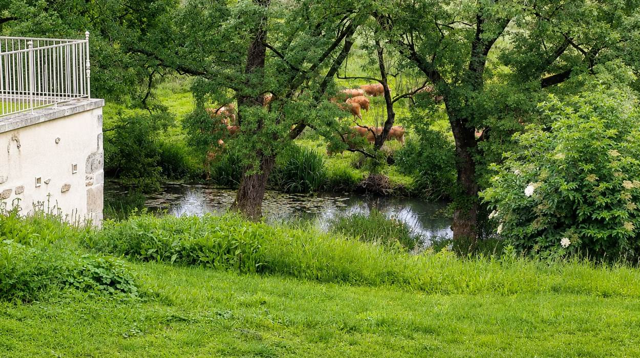 Une nature préservée au cœur de votre mariage