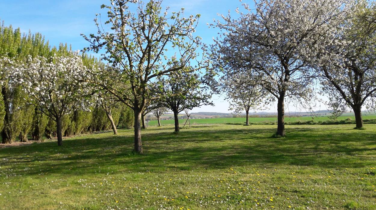 pour se balader dans le verger et manger de bons fruits bio