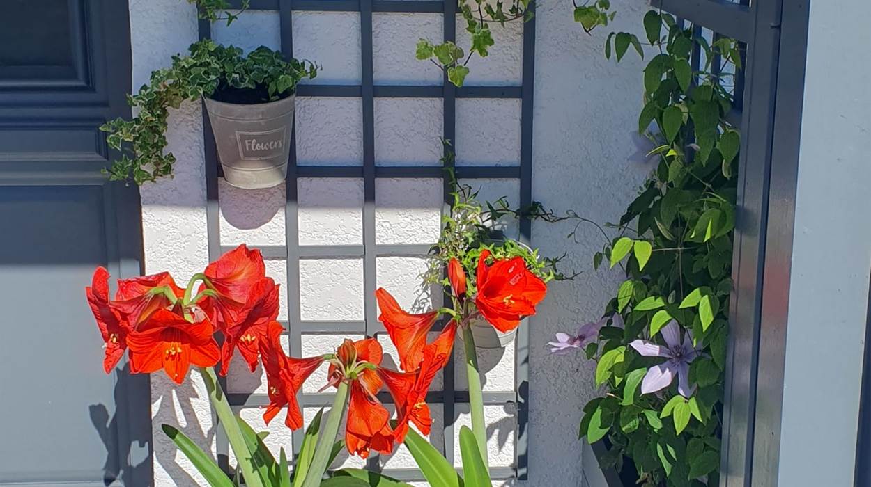 terrasse fleurie