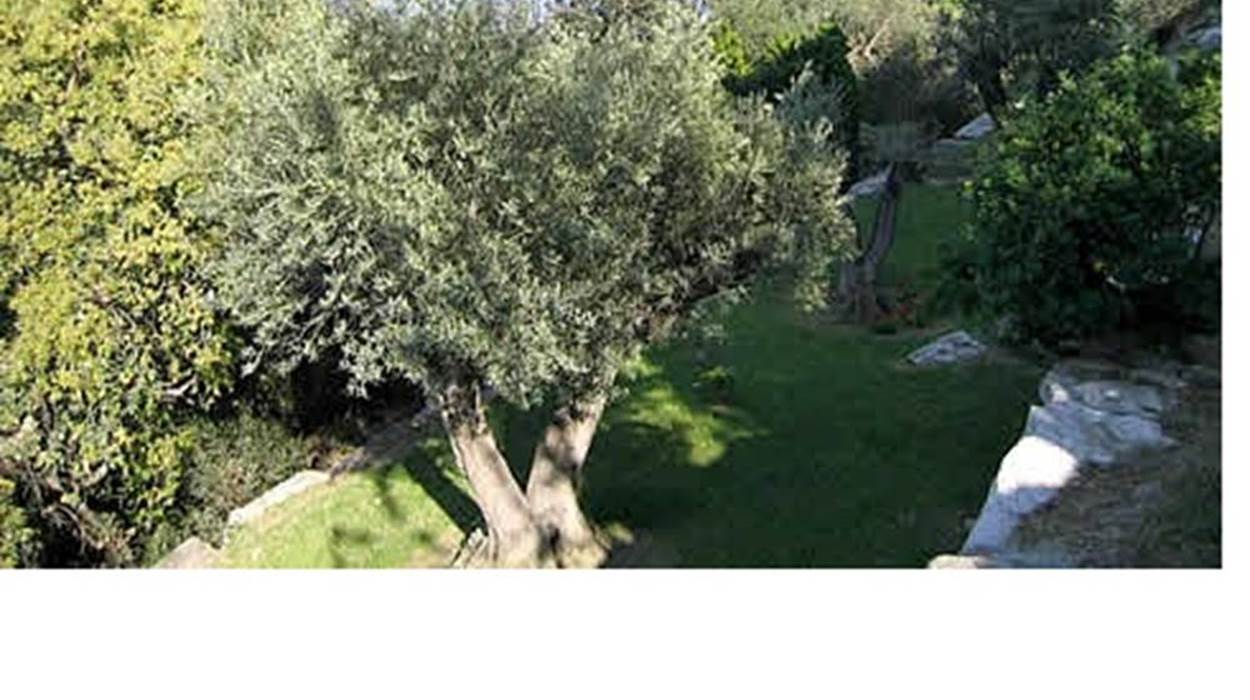 jardin en restanques