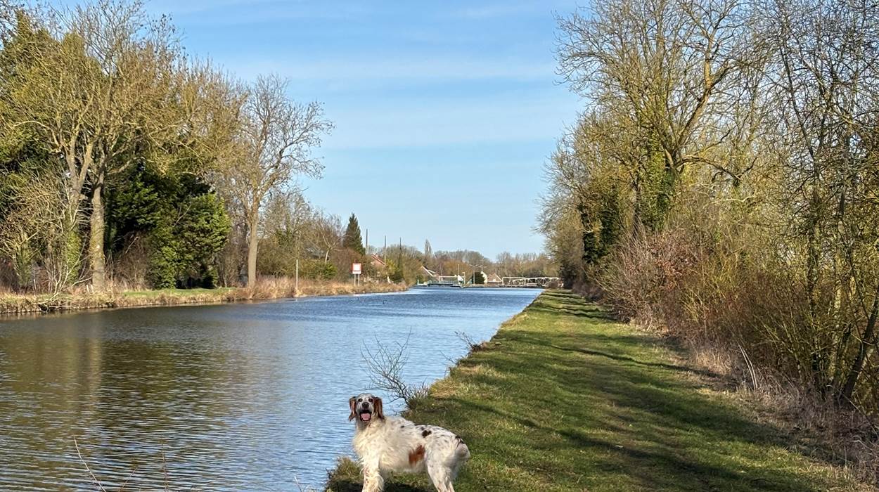 suivre le canal de Saint-Quentin à pied