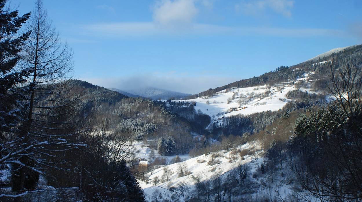 vue sur les collines Vosgiennes en hiver