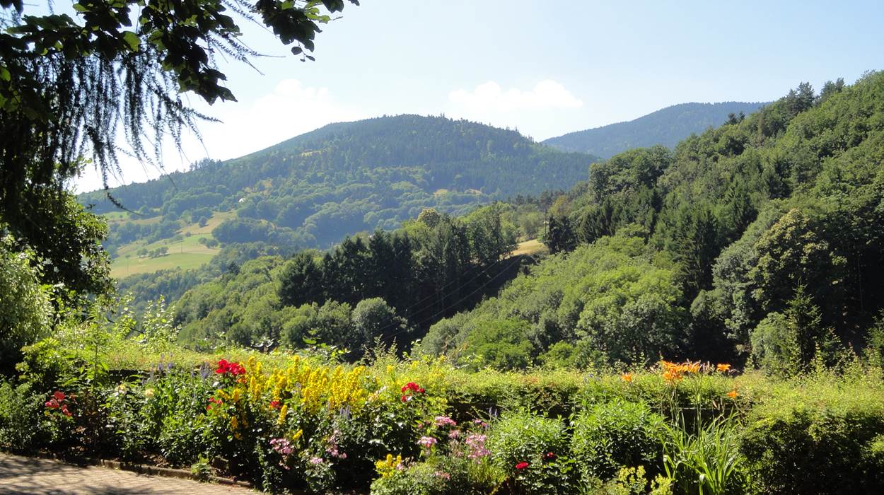 vue sur les Vosges