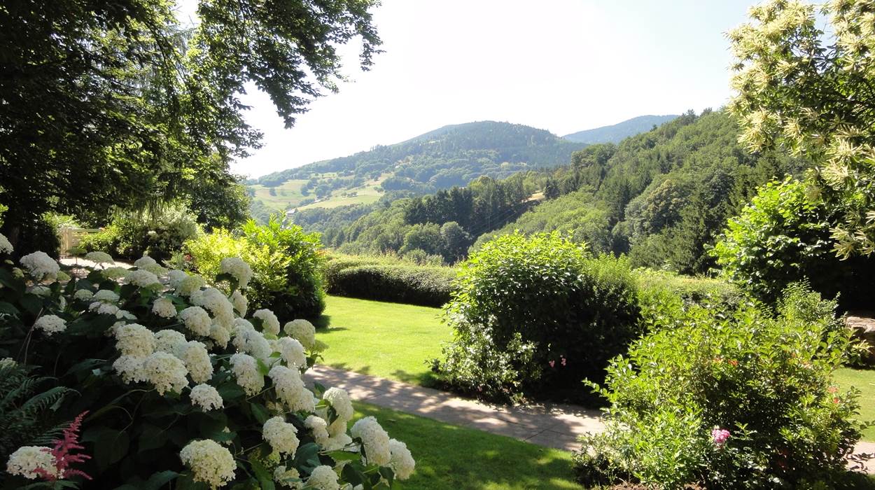 vue sur les Vosges