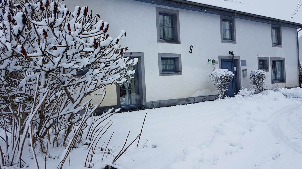 Bienvenue aux Myosotis en hiver
