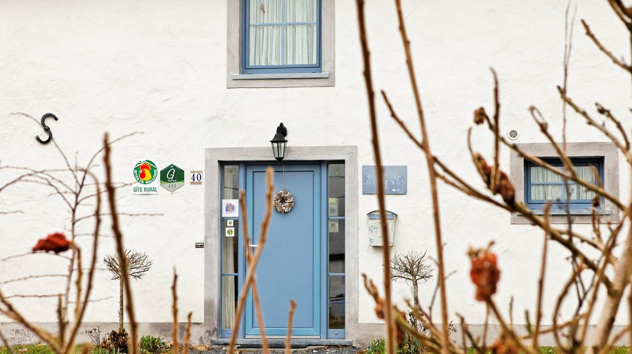 Bienvenue au gîte Myosotis Indigo Bastogne