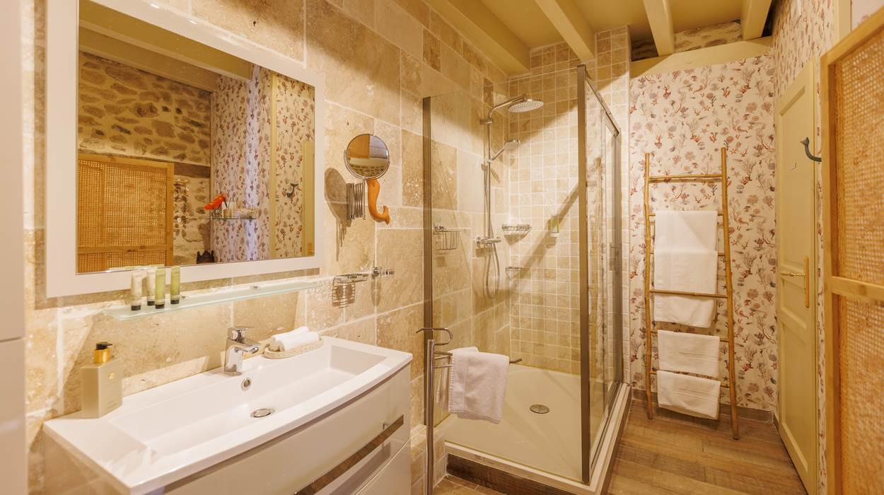 La salle de bain de la chambre Les Hirondelles